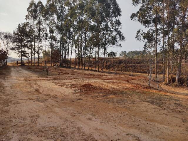 Chácara para Venda em Muzambinho - 4