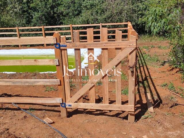 Sítio para Venda em Muzambinho - 4