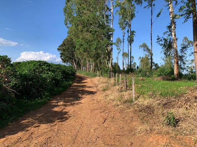 #347 - Sítio para Venda em Muzambinho - MG - 3