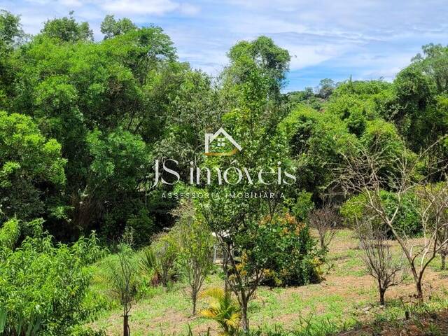 #378 - Chácara para Venda em Muzambinho - MG - 3